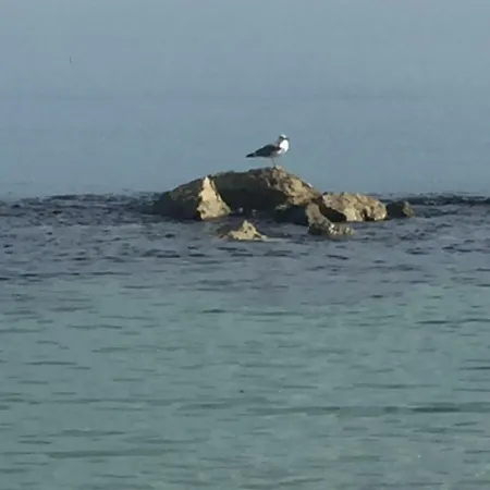 Appartamentino Celeste