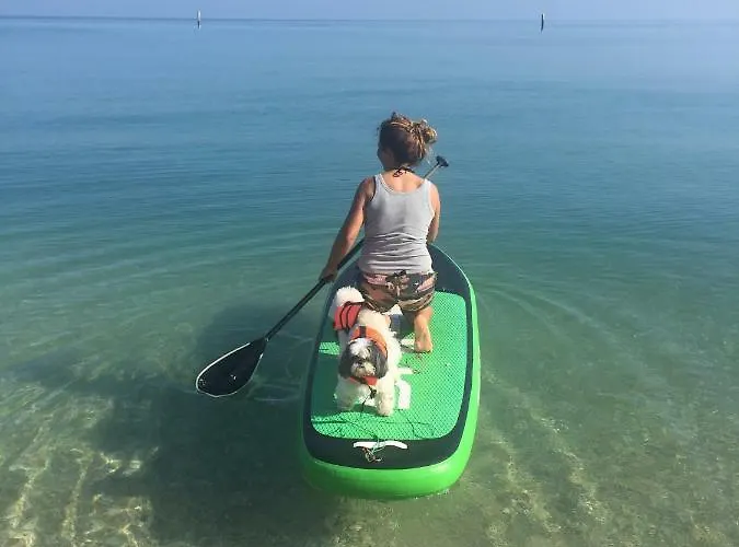 Appartamento Appartamentino Celeste *